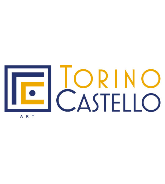 Torino Castello Divisione Arte
